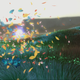 Illustration for article titled Frankenreview: Flower